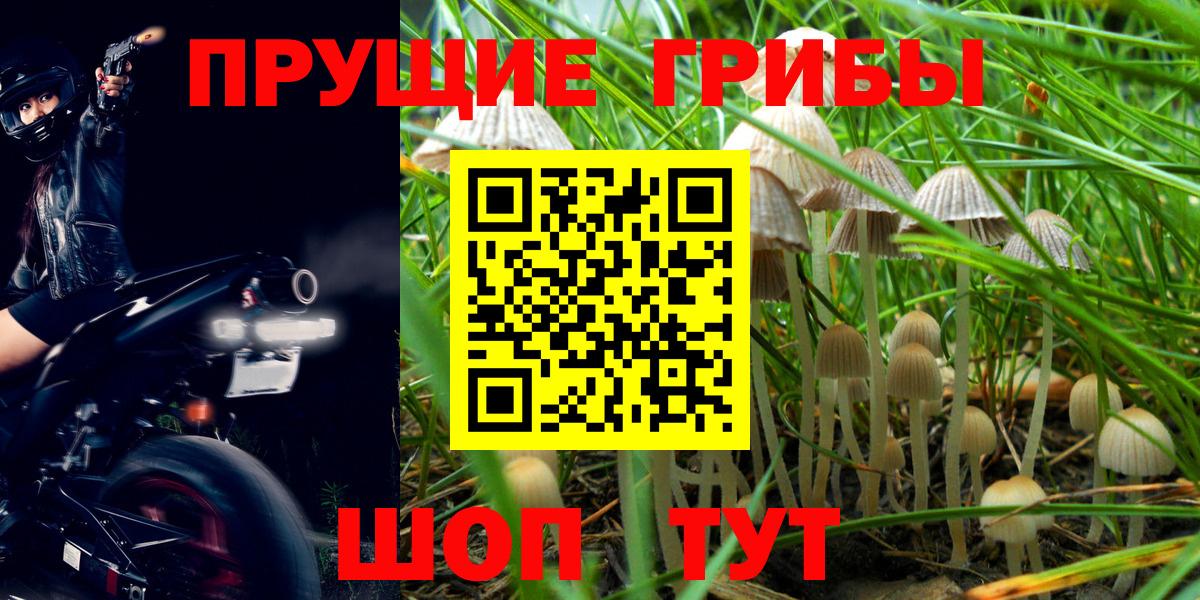 Галлюциногенные грибы Magic Shrooms Новороссийск