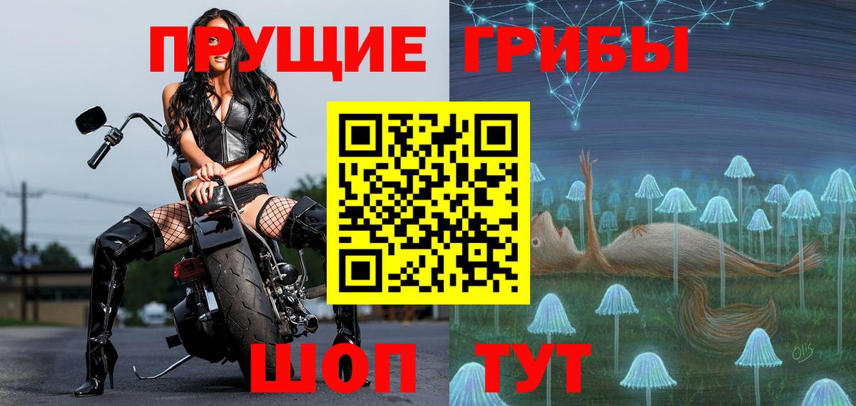 Новороссийск  Псилоцибиновые грибы прущие грибы  Вход с VPN 