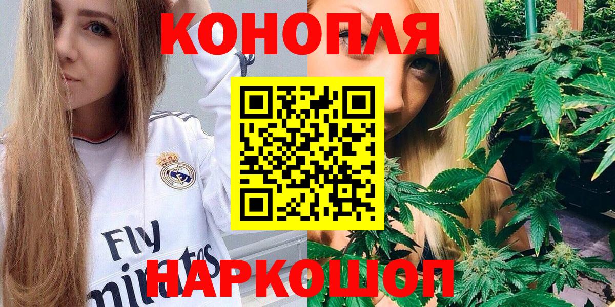 Конопля марихуана Новороссийск